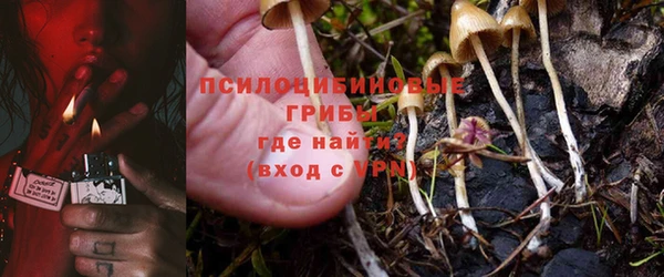 молекула духа Балабаново