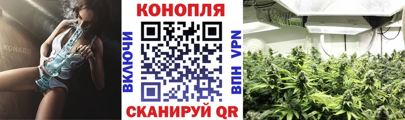 где продают   Котельники  Канабис OG Kush 